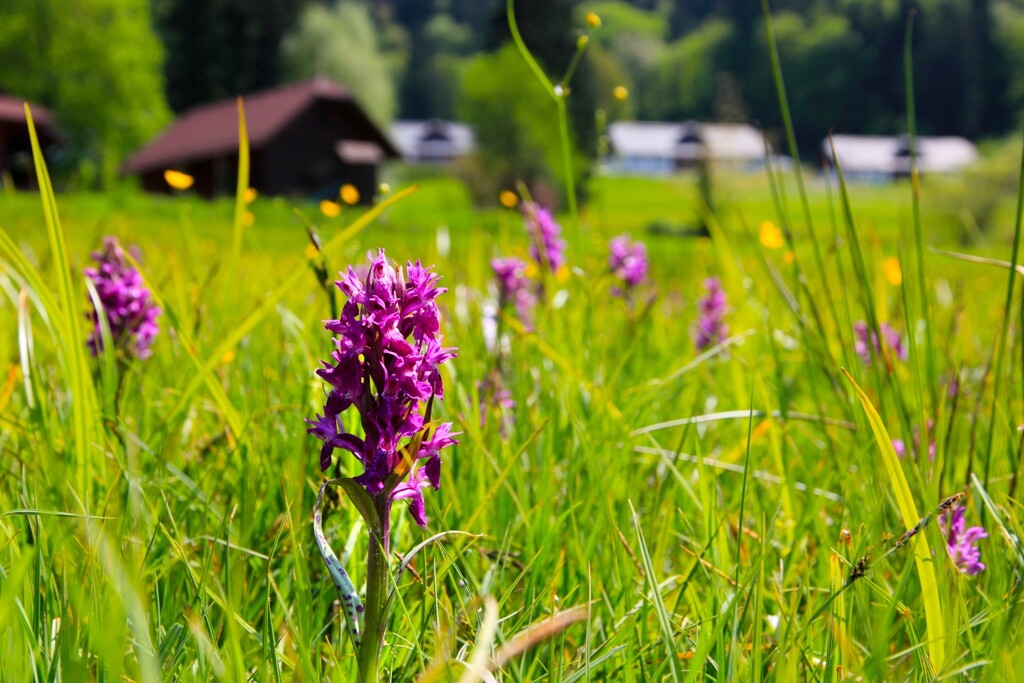 Prodloužený májový víkend na Valašsku