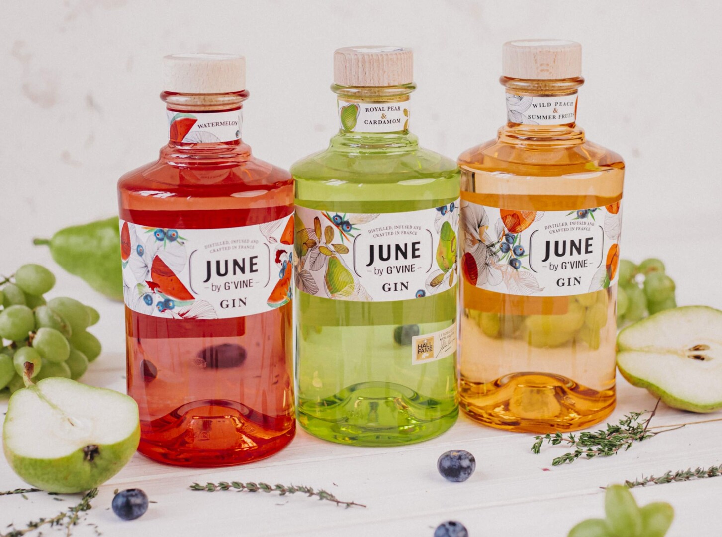 Neřízená degustace ginů Premier Wines and Spirits, 28. 6. 2024