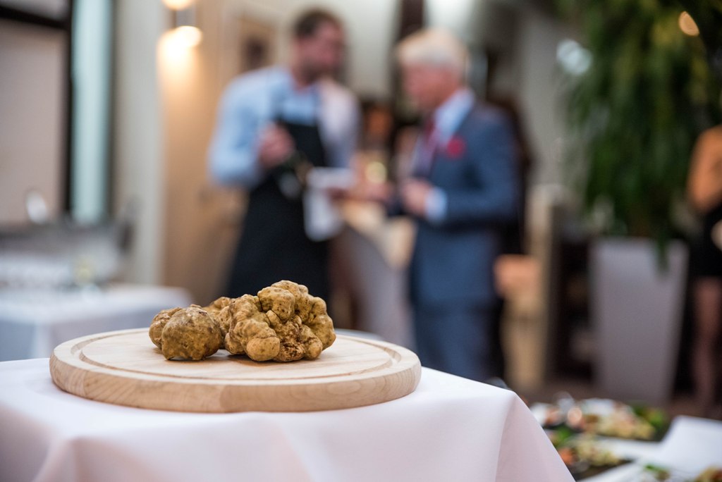 Noc bílých lanýžů, 20. 11.  2025